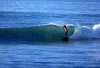 1973 Cher 5ft 8 Lis Fish Costa Azul Tom Threinen
